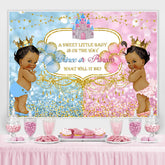 Prinz Oder Prinzessin Baby Dusche Hintergrund Für Party